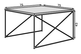 Kavos staliukas ADRK Furniture Nelia, rudas/auksinis kaina ir informacija | Kavos staliukai | pigu.lt