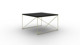 Журнальный столик ADRK Furniture Nelia, черный/золотой цена и информация | Журнальные столики | pigu.lt