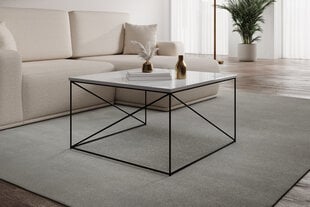 Кофейный столик ADRK Furniture Nelia, белый/черный цена и информация | Журнальные столики | pigu.lt