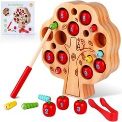 Деревянная развивающая игрушка Montessori Ronstone цена и информация | Игрушки для малышей | pigu.lt