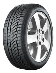 Padanga 245/35R20 95W/XL FALKEN EUROWINTER HS02 PRO D B 70 B ŽIEMINĖ цена и информация | Летняя резина | pigu.lt