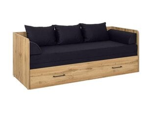 Sofa-lova BRW Tetrix, juoda kaina ir informacija | Sofos | pigu.lt