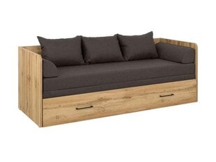 Sofa-lova BRW Tetrix, ruda kaina ir informacija | Sofos | pigu.lt