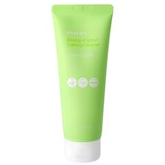 HAYEJIN Blessing of Sprout Calming Cleanser 170ml - Veido valymo gelis kaina ir informacija | Veido prausikliai, valikliai | pigu.lt