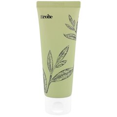 EcoBe Jeju Green Tea Foam Cleanser 100ml - Очищающая пенка для лица с экстрактом зеленого чая цена и информация | Средства для очищения лица | pigu.lt