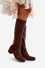 Eco Suede Women's Over-the-Knee Boots with Zipper Brown Elitara 32855-21 цена и информация | Женские сапоги | pigu.lt