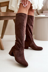 Eco Suede Women's Over-the-Knee Boots with Zipper Brown Elitara 32855-21 цена и информация | Женские сапоги | pigu.lt