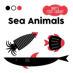 Sea Animals: Baby Montessori kaina ir informacija | Knygos mažiesiems | pigu.lt