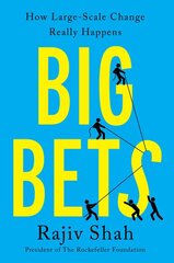 Big Bets: How Large-Scale Change Really Happens цена и информация | Книги по экономике | pigu.lt