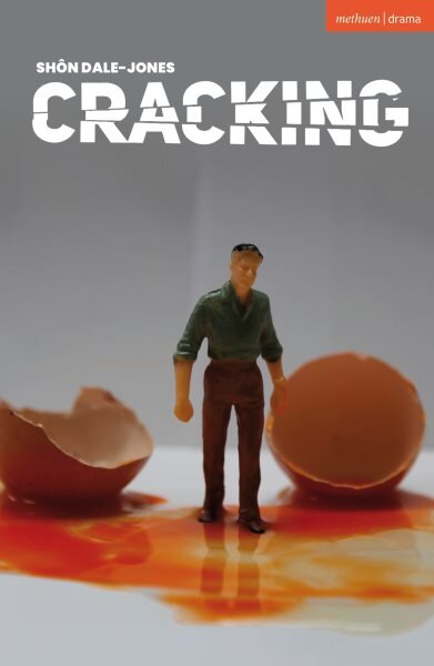 Cracking kaina ir informacija | Apsakymai, novelės | pigu.lt