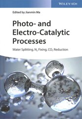 Photo- and Electro-Catalytic Processes: Water Splitting, N2 Fixing, CO2 Reduction kaina ir informacija | Ekonomikos knygos | pigu.lt