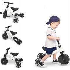 Triratukas 3in1 Trike Fix Mini, raudonas цена и информация | Трехколесные велосипеды | pigu.lt