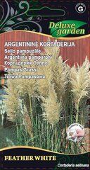 Argentininė kortaderija Feather White kaina ir informacija | Gėlių sėklos | pigu.lt