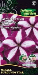 Darželinė petunija Mirage burgundy star kaina ir informacija | Gėlių sėklos | pigu.lt