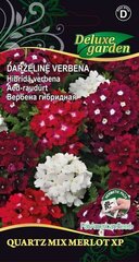 DARŽELINĖ VERBENA QAUTZ - XP MIX MERLOT XP - цена и информация | Семена цветов | pigu.lt