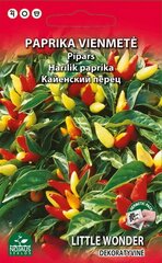 Dekoratyvinė paprika Little wonder kaina ir informacija | Gėlių sėklos | pigu.lt