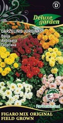 Didžiagraižis jurginas Figaro mix field grown kaina ir informacija | Gėlių sėklos | pigu.lt