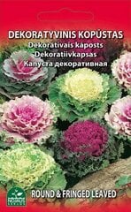 Kopūstas dekoratyvinis kaina ir informacija | Gėlių sėklos | pigu.lt