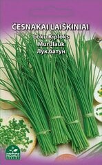 Laiškinis česnakas kaina ir informacija | Daržovių, uogų sėklos | pigu.lt