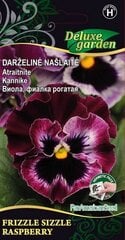 Našlaitė Frizzle Sizzle Rasberry kaina ir informacija | Gėlių sėklos | pigu.lt