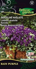 Našlaitė Rain Purple kaina ir informacija | Gėlių sėklos | pigu.lt