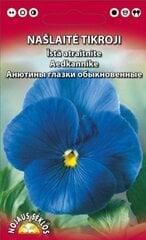 Našlaitė tikroji kaina ir informacija | Gėlių sėklos | pigu.lt