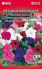 Petunija darželinė mišinys kaina ir informacija | Gėlių sėklos | pigu.lt