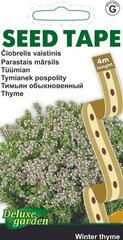 SĖKLOS JUOSTOJE ČIOBRELIS VAISTINIS WINTER THYME - цена и информация | Семена приправ | pigu.lt