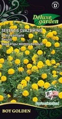 Serentis gvazdikinis Boy Golden kaina ir informacija | Gėlių sėklos | pigu.lt