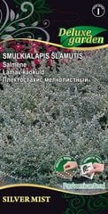 SMULKIALAPIS ŠLAMUTIS SILVER MIST - цена и информация | Семена цветов | pigu.lt