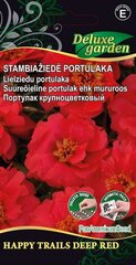 STAMBIAŽIEDĖ PORTULAKA HAPPY TRAILS DEEP RED - цена и информация | Семена цветов | pigu.lt