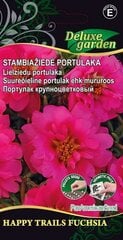 STAMBIAŽIEDĖ PORTULAKA HAPPY TRAILS FUCHSIA - цена и информация | Семена цветов | pigu.lt