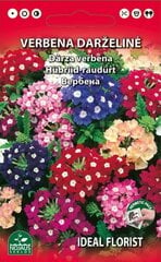 Verbena darželinė mišinys kaina ir informacija | Gėlių sėklos | pigu.lt