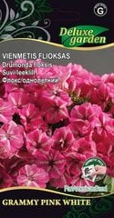 Vienmetis Flioksas Grammy Pink White kaina ir informacija | Gėlių sėklos | pigu.lt