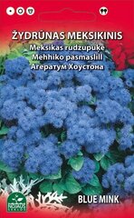 Žydrūnas meksikinis kaina ir informacija | Gėlių sėklos | pigu.lt