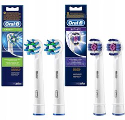 Originalus "Oral-b Cross Action" antgalis EB50AB x2 + 3d White x2 цена и информация | Насадки для электрических зубных щеток | pigu.lt