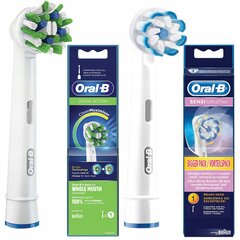 "Oral-B CrossAction EB50AB" + "Oral-B CrossAction EB50AB" antgalis цена и информация | Насадки для электрических зубных щеток | pigu.lt