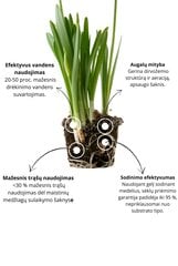 Hidrogelis Plara Agrogel Bio, 1 kg kaina ir informacija | Augalų priežiūros priemonės | pigu.lt