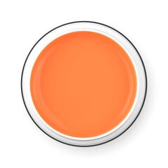 PALU PRO LIGHT BUILDER PEACHY GEL 45 g цена и информация | Лаки, укрепители для ногтей | pigu.lt