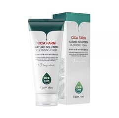 FARM STAY CICA Farm Nature Solution Cleansing Foam 180 ML - Veido valymo putos kaina ir informacija | Veido prausikliai, valikliai | pigu.lt