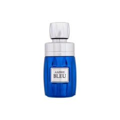 Rave Ambre Bleu Eau de Parfum для мужчин 100 мл цена и информация | Мужские духи | pigu.lt