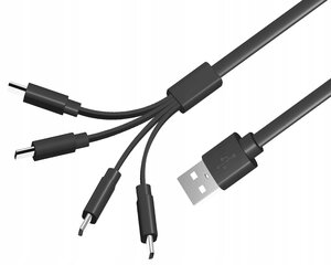 LiiBatteries Usb-C 4in1, skirtas ličio jonų baterijoms 19cm Fast kaina ir informacija | Kabeliai ir laidai | pigu.lt