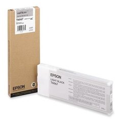 Epson струйный картридж (C13T606700), светло-черный цена и информация | Картриджи для струйных принтеров | pigu.lt