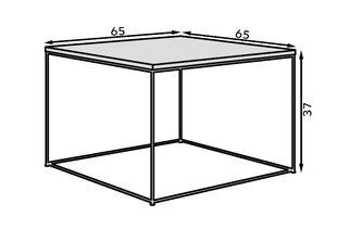 Kavos staliukas ADRK Furniture Roni, rudas/auksinis kaina ir informacija | Kavos staliukai | pigu.lt