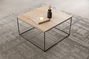 Кофейный столик ADRK Furniture Roni, коричневый/черный цена и информация | Журнальные столики | pigu.lt