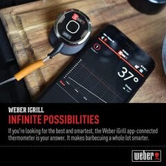 Weber iGrill Mini skaitmeninis termometras griliuojantiems kaina ir informacija | Kepsninės, griliai | pigu.lt