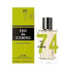 Tualetinis vanduo Iceberg Eau de Iceberg Italian Bergamot EDT vyrams, 100 ml kaina ir informacija | Kvepalai vyrams | pigu.lt