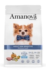 Amanova Adult Mini Sensitive Delicious suaugusiems mažų veislių šunims su ėriena, 2 kg kaina ir informacija | Sausas maistas šunims | pigu.lt