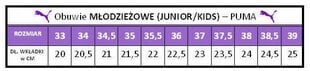 PUMA REBOUND V6 JR sportiniai bateliai 393833-04 žemi sportbačiai 35.5 kaina ir informacija | Sportiniai bateliai, kedai moterims | pigu.lt