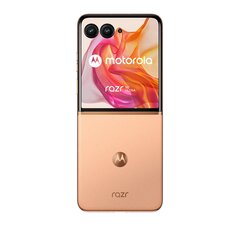 Motorola Razr 50 Ultra 12/512ГБ Peach Fuzz цена и информация | Мобильные телефоны | pigu.lt